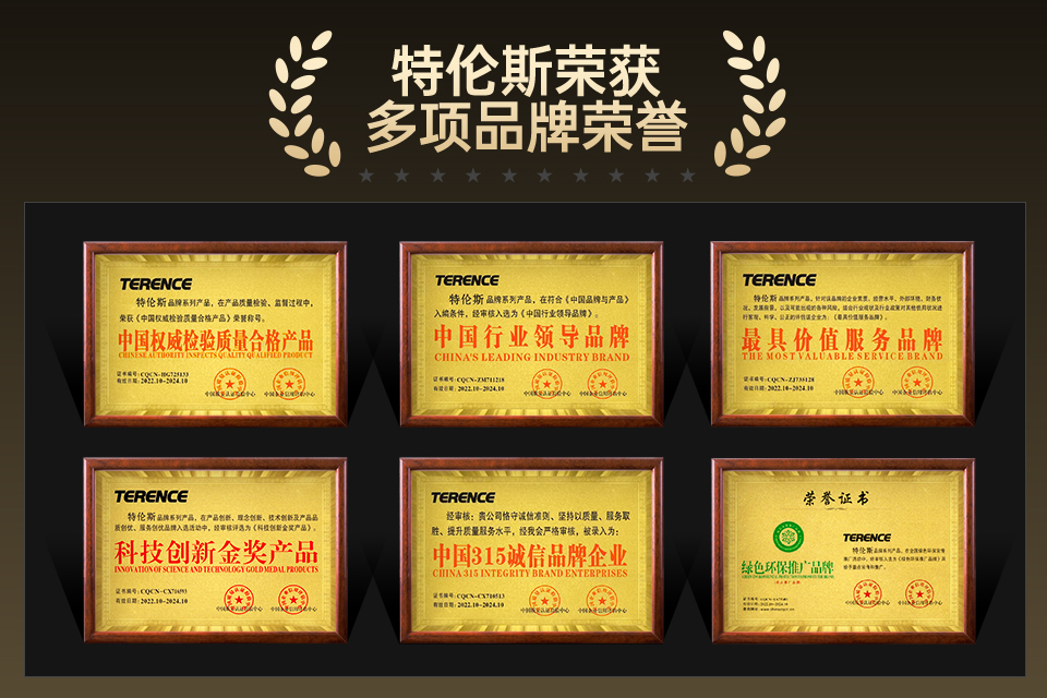 恭喜TERENCE荣获2023年天猫乐器双11销量亚军！