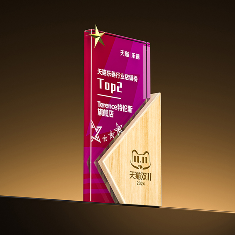 品牌喜讯丨TERENCE特伦斯荣登2024天猫双榜 —— 天猫双十一乐器行业店铺榜TOP2和天猫618年中狂欢节乐器品牌TOP10
